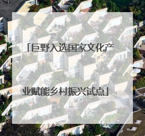 巨野入选国家文化产业赋能乡村振兴试点